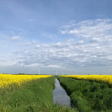 Apartment Tief 12 Leuchttum 74 Mit Internet Schillig