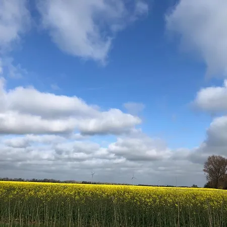 Tief 12 Leuchttum 74 Mit Internet *