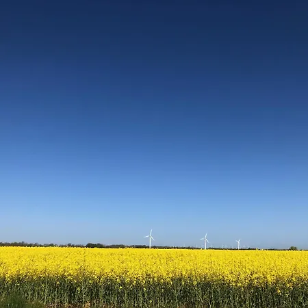 Tief 12 Leuchttum 74 Mit Internet Apartment