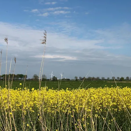 Tief 12 Leuchttum 74 Mit Internet Schillig